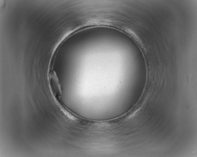 X0000062170893200512231623