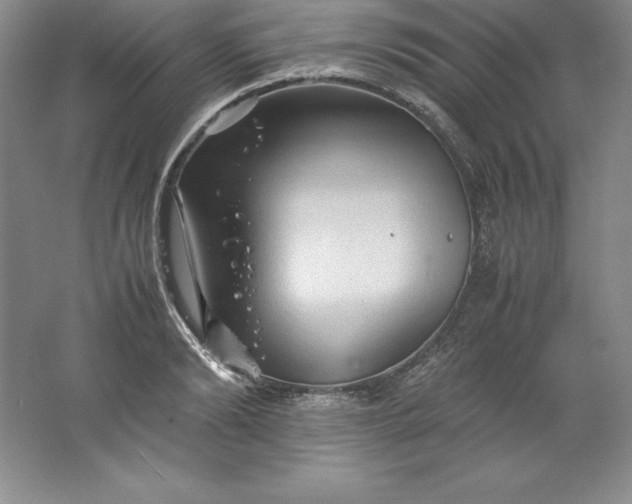 X0000062170894200512231623