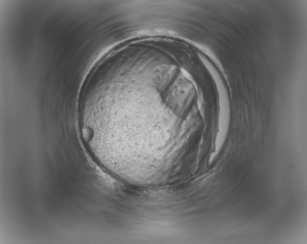 X0000062170895200512231623