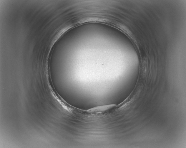 X0000062170898200512231623