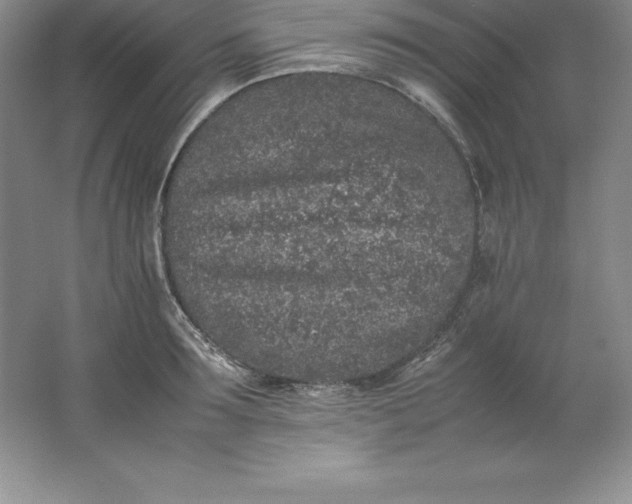 X0000062170899200512231623