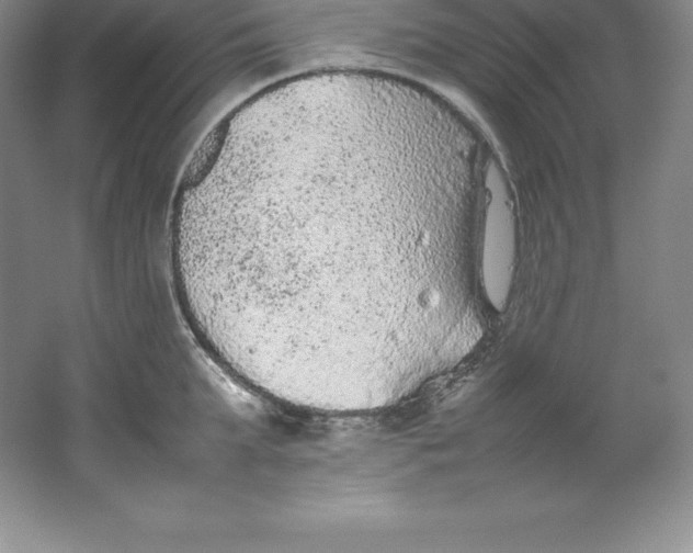 X0000062170903200512231623