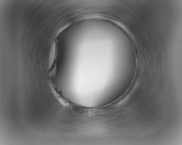 X0000062170905200512231623