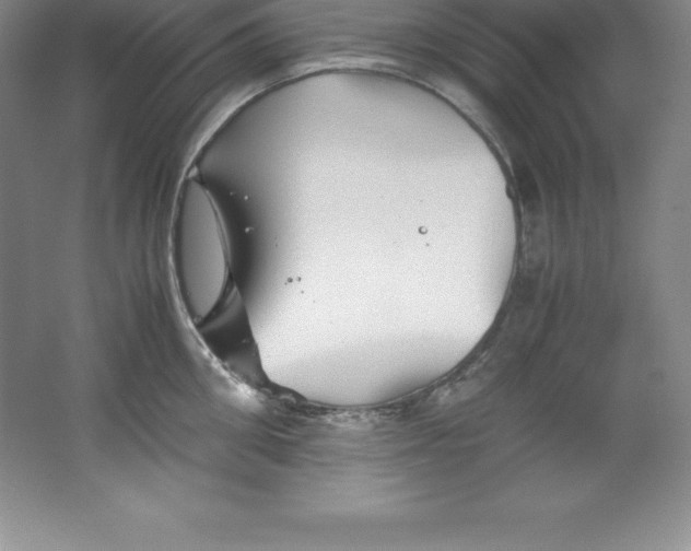 X0000062170906200512231623