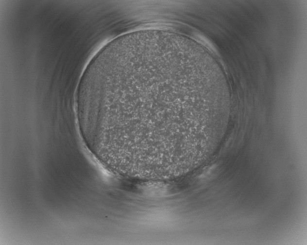 X0000062170907200512231623