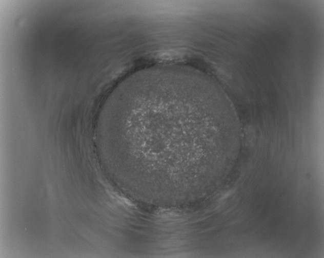 X0000062170913200512231622