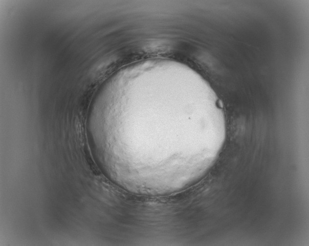 X0000062170917200512231622