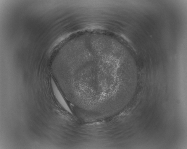 X0000062170919200512231622