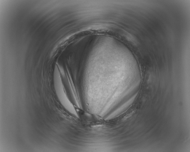 X0000062170920200512231622