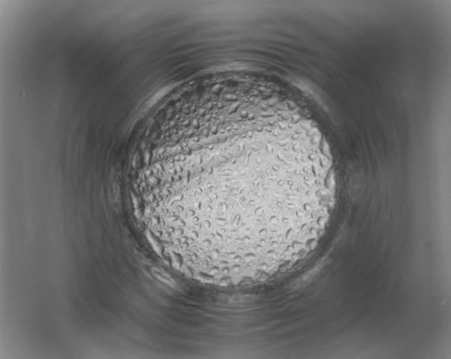 X0000062170921200512231622