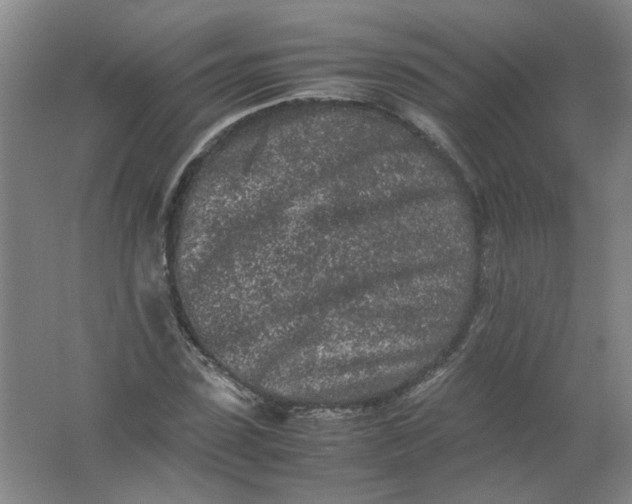 X0000062170923200512231622