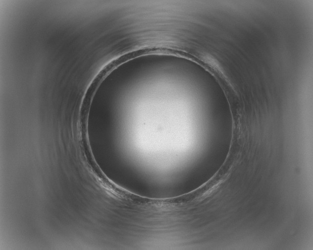 X0000062170924200512231622