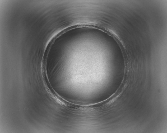 X0000062170928200512231622