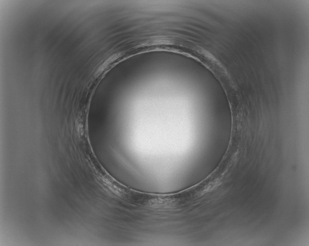 X0000062170929200512231622