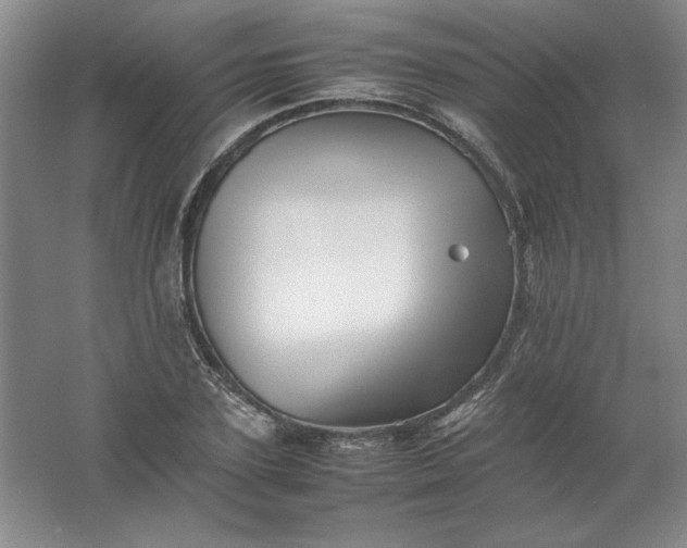 X0000062170931200512231622