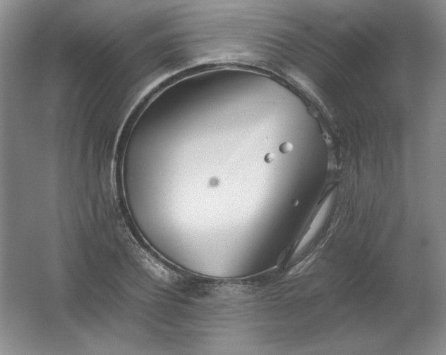 X0000062170932200512231622