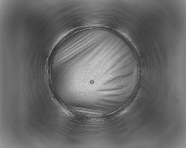 X0000062170933200512231622