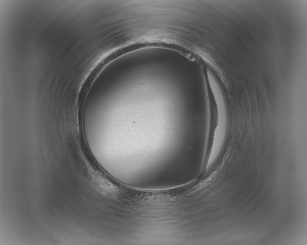 X0000062170934200512231622