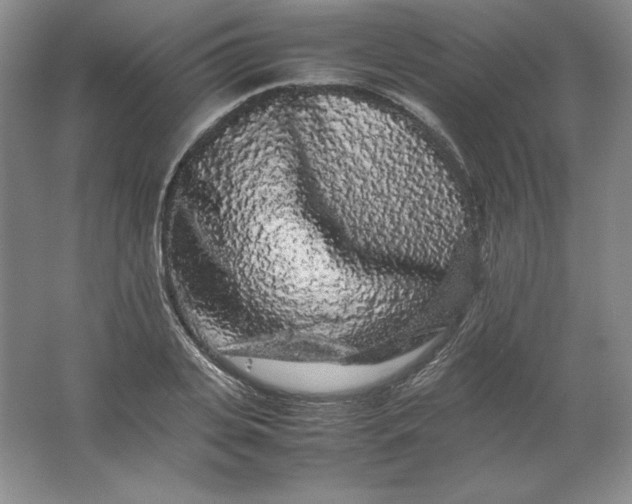 X0000062170935200512231622