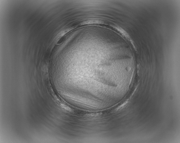 X0000062170937200512231622