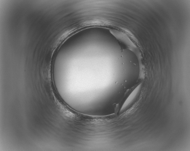 X0000062170938200512231622