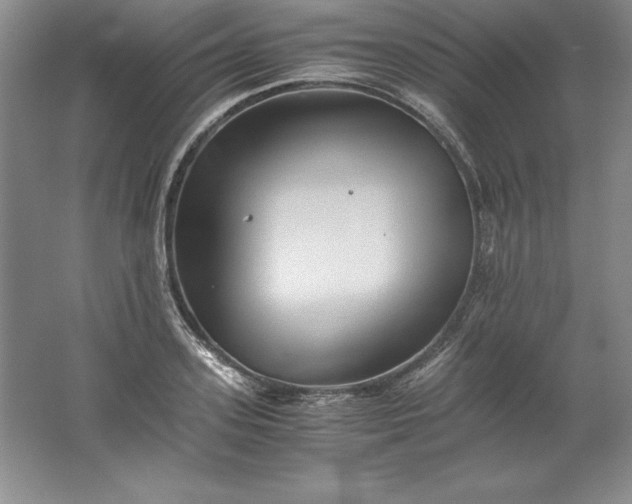 X0000062170939200512231622