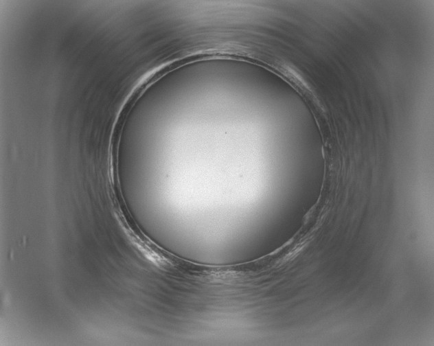 X0000062170940200512231622