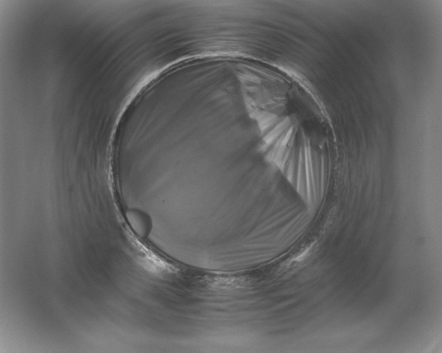 X0000062170941200512231622