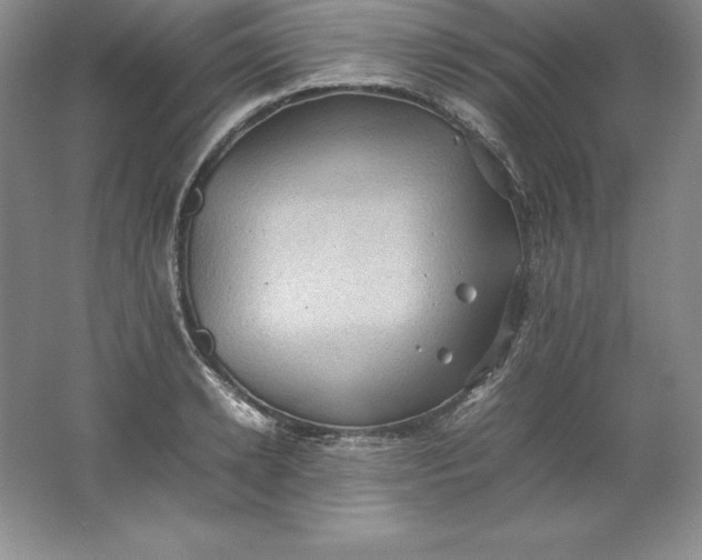 X0000062170942200512231622