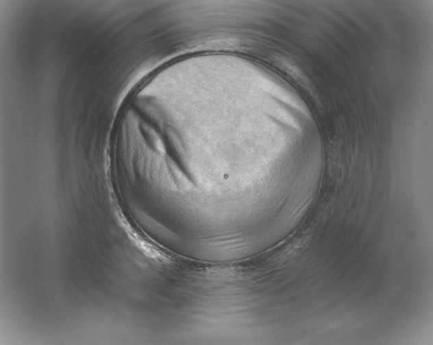 X0000062170944200512231622