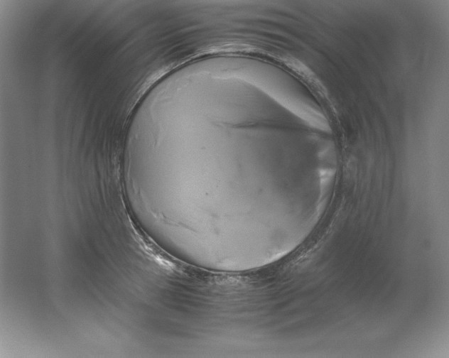 X0000062170945200512231622