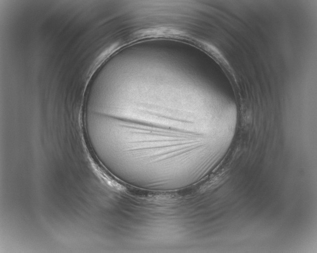 X0000062170946200512231622