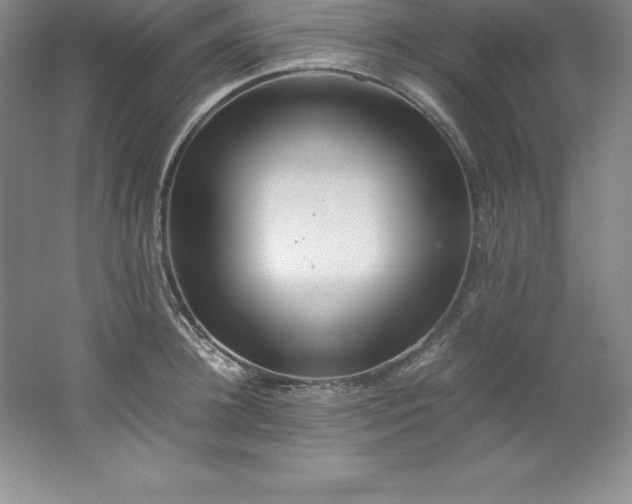 X0000062170948200512231622