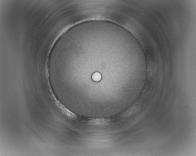 X0000062170950200512231622