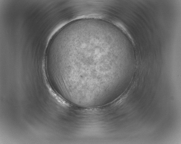 X0000062170952200512231622