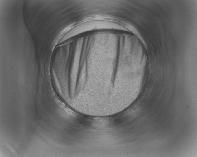 X0000062170954200512231622