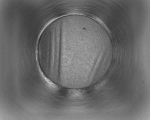 X0000062170955200512231622