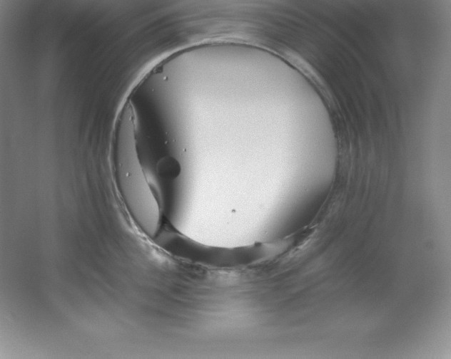 X0000062170956200512231622