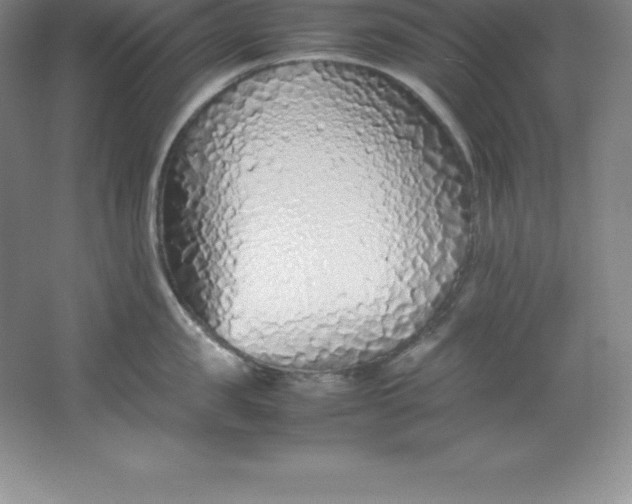 X0000062170957200512231622