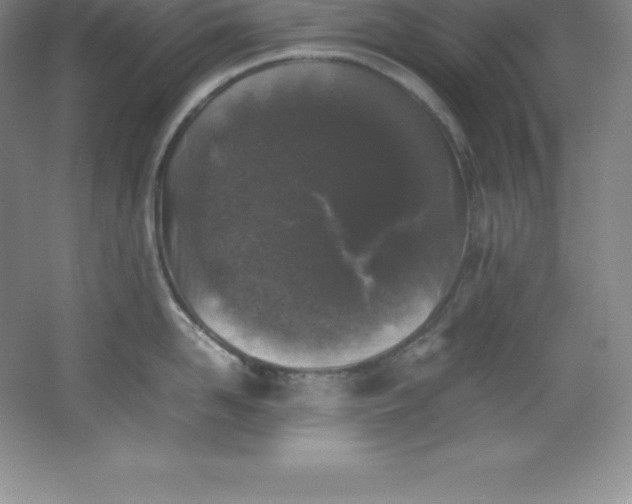 X0000062170958200512231622