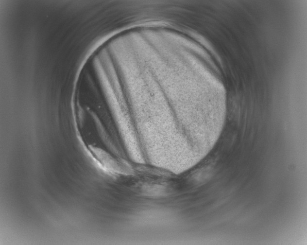 X0000062170959200512231623