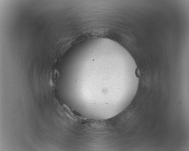 X0000062170962200512231622