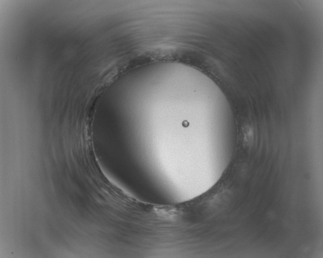 X0000062170964200512231622