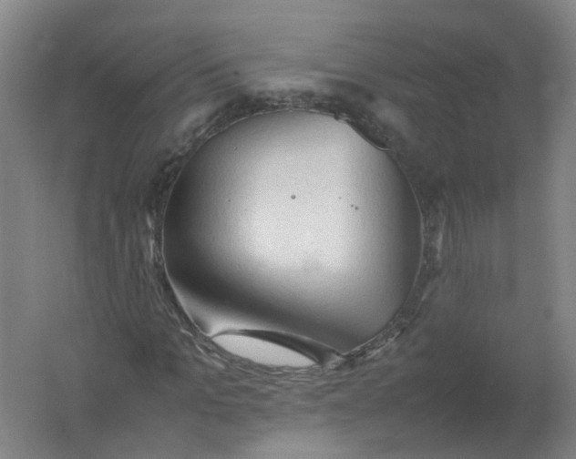 X0000062170965200512231622