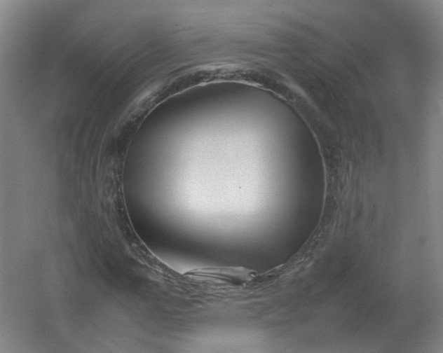 X0000062170967200512231622