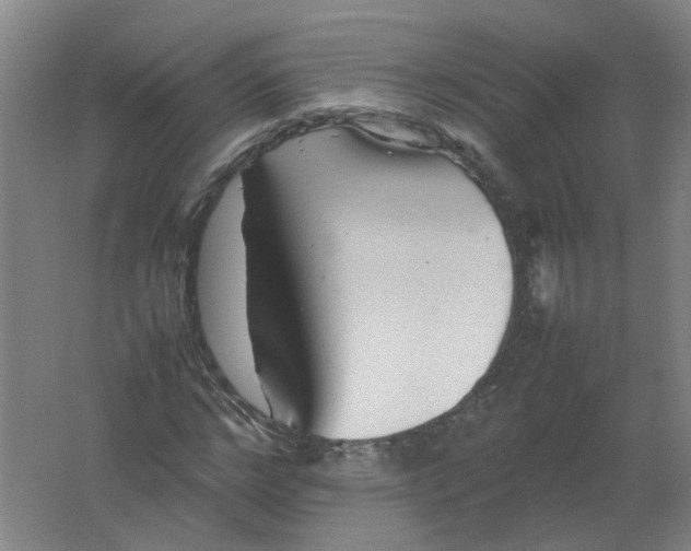 X0000062170968200512231621