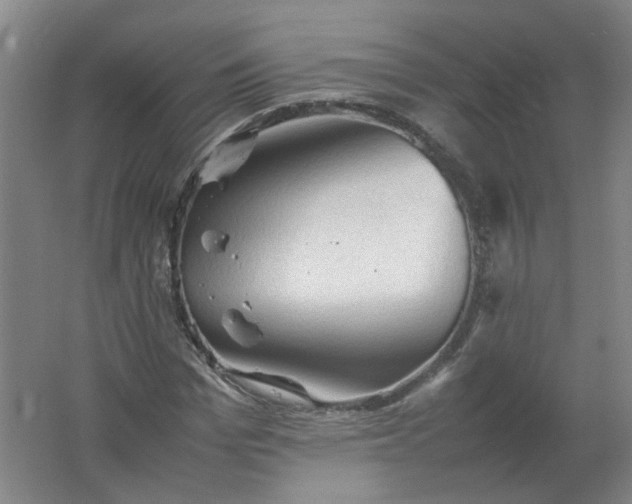 X0000062170969200512231621