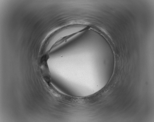 X0000062170971200512231621