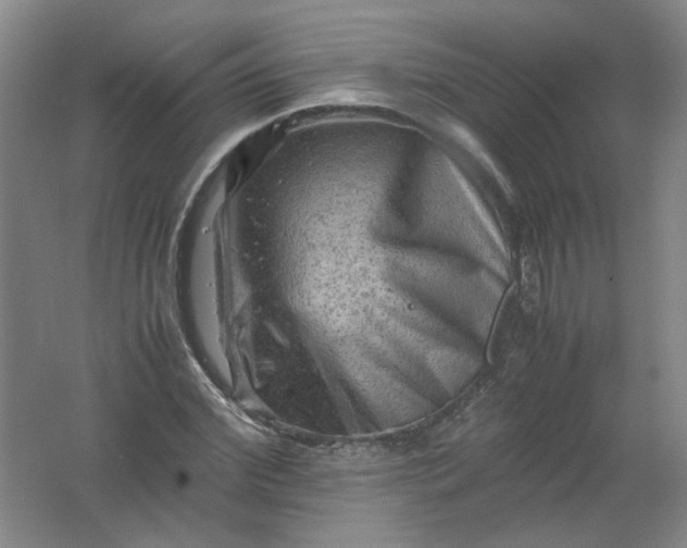 X0000062170972200512231621