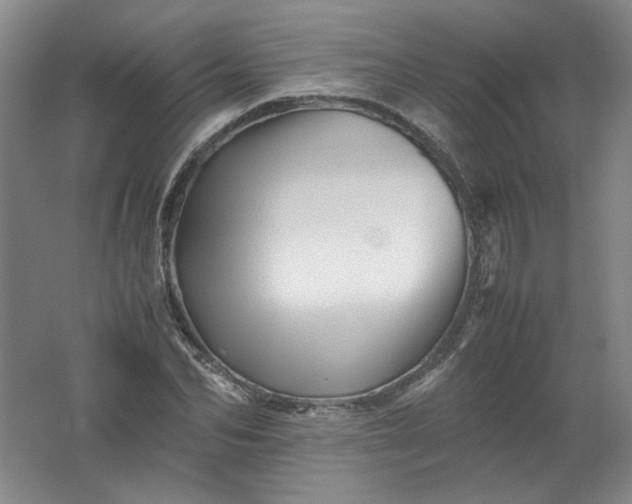 X0000062170974200512231621